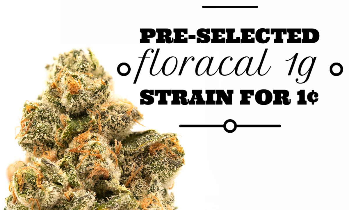 Pre-selected FloraCal 1g Strain for 1¢