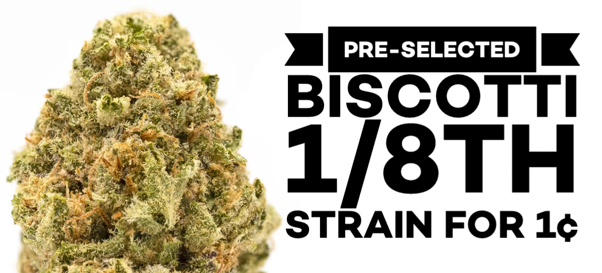 Pre-selected Biscotti 1/8th Strain for 1¢