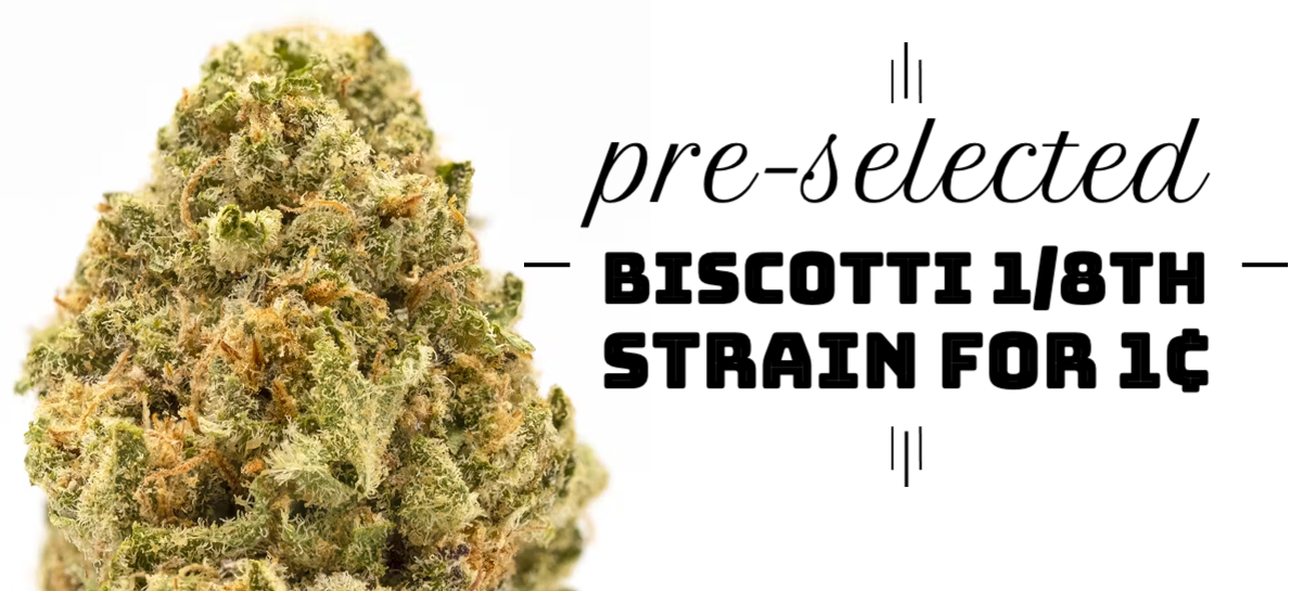 pre-selected Biscotti 1/8th Strain for 1¢
