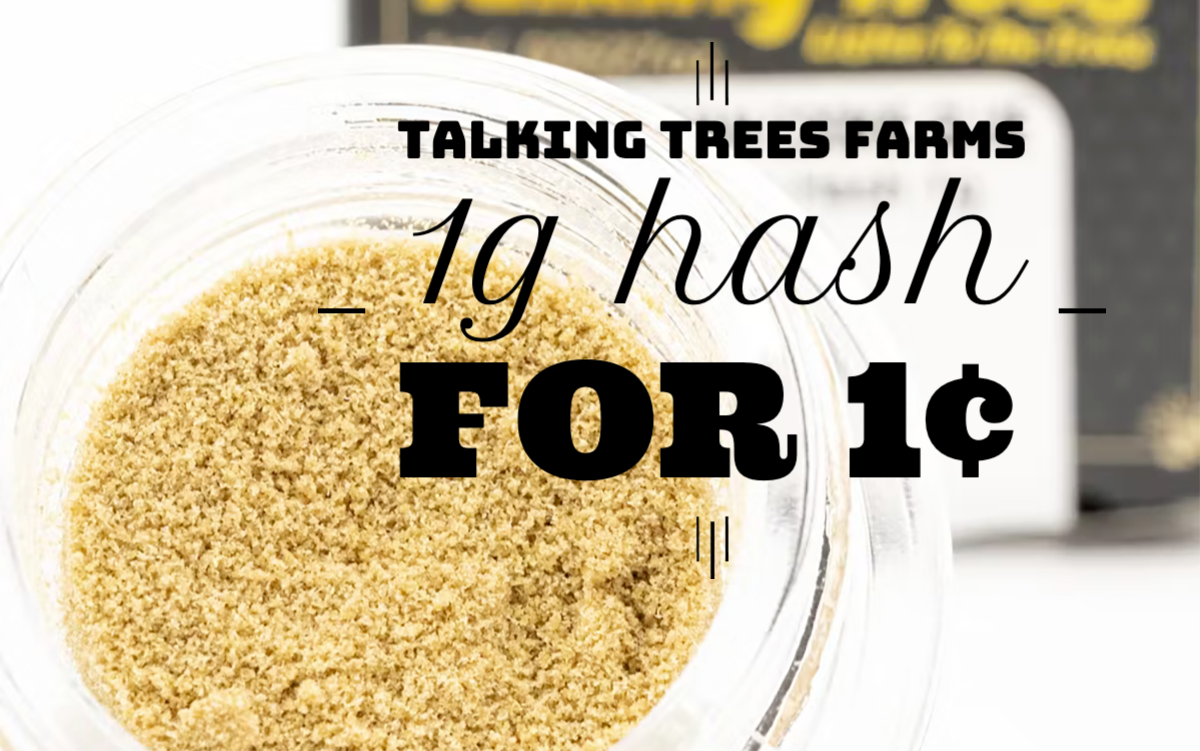 Talking Trees Farms 1g Hash for 1¢