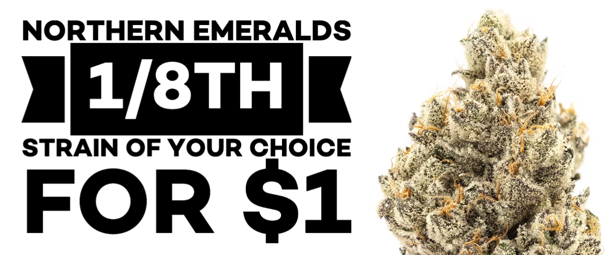 Northern Emeralds 1/8th Strain of your choice for $1