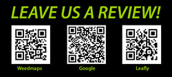 Leave us a review QRs