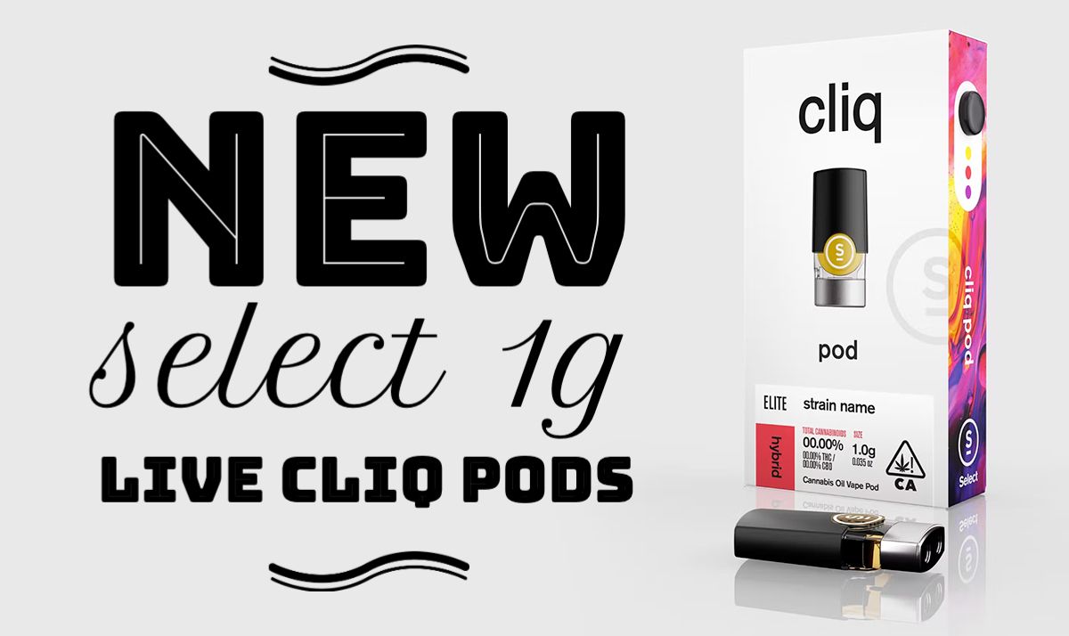 NEW Select 1g Live Cliq Pods