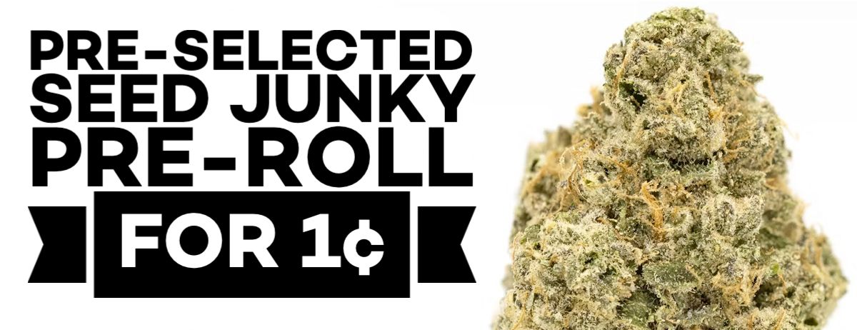 Pre-selected Seed Junky Pre-Roll